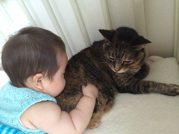 rblog-20140719100540-00.jpg