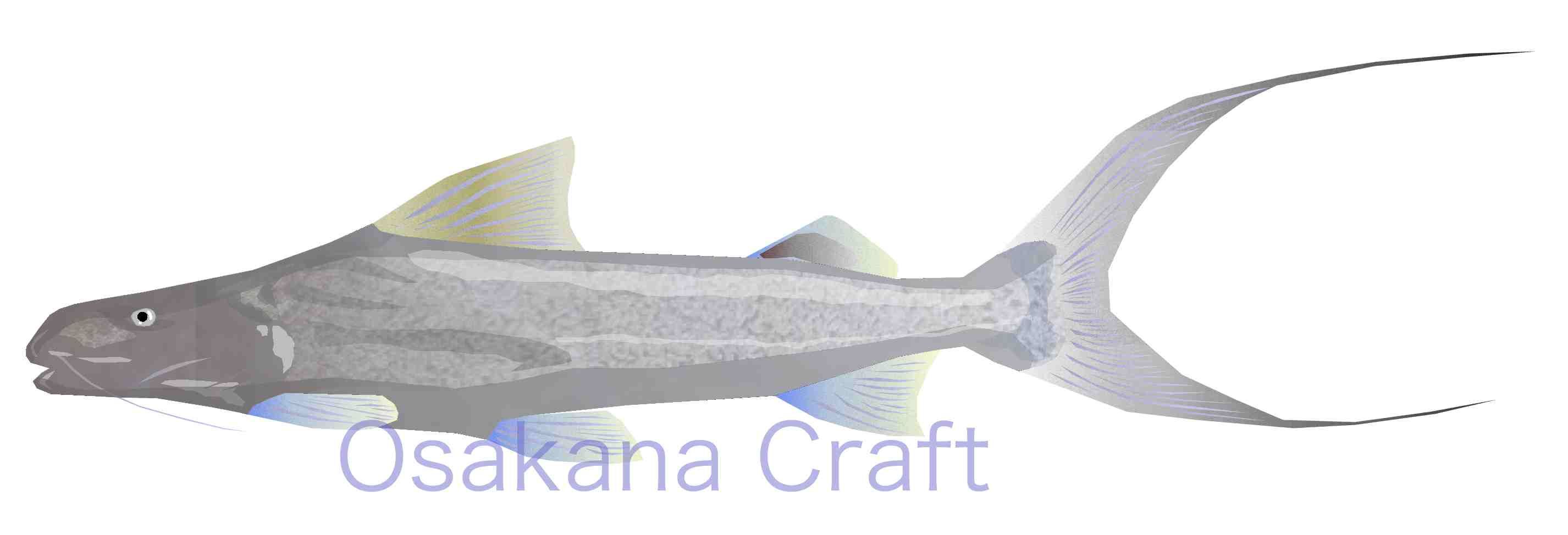 ナマズの仲間 Catfish Osakana Craft イラスト熱帯魚図鑑 楽天ブログ