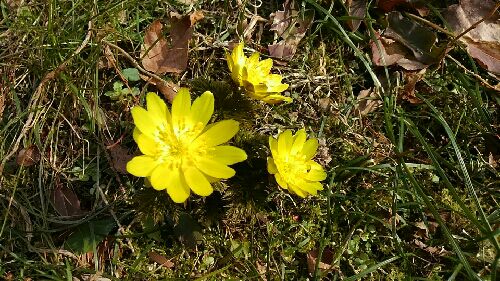 rblog-20150217213754-01.jpg