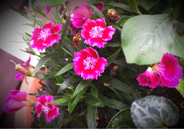 rblog-20160530190925-02.jpg