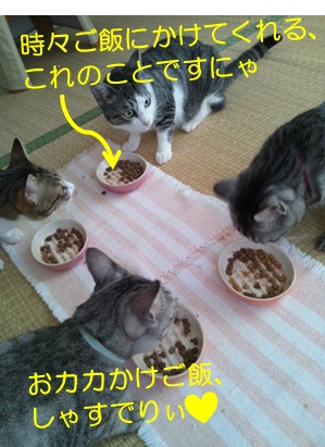 20120809_2.jpg
