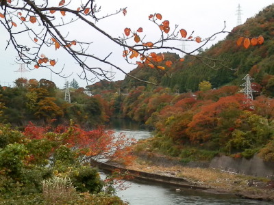紅葉した神通峡　11・11