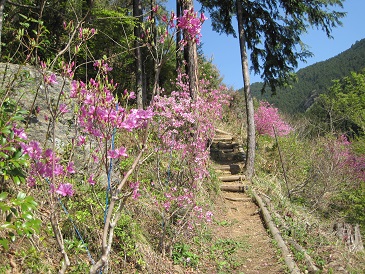 008.JPG