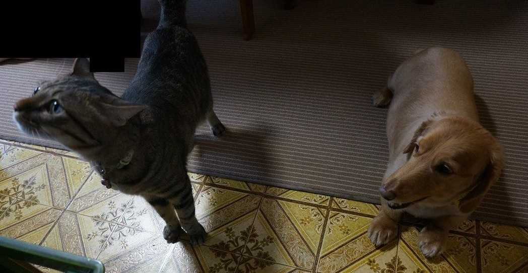 ヨッシイのブログ