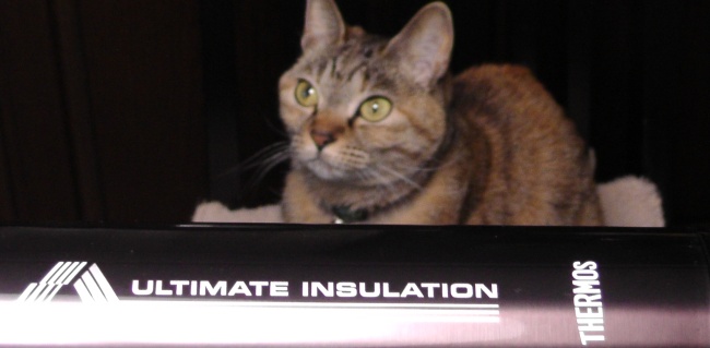 ULTIMATE　INSULATION