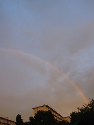 IMG_9809.JPG