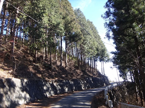 DSC07516.JPG