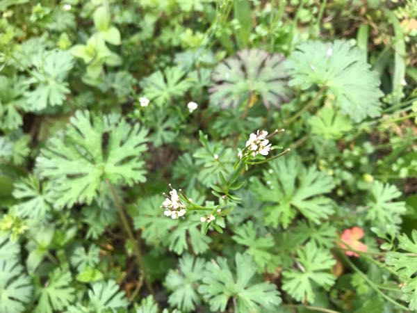 rblog-20190401164244-00.jpg