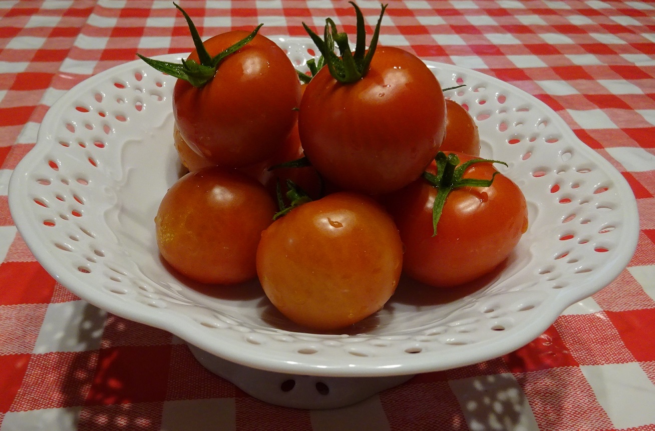 DSC03230.JPG