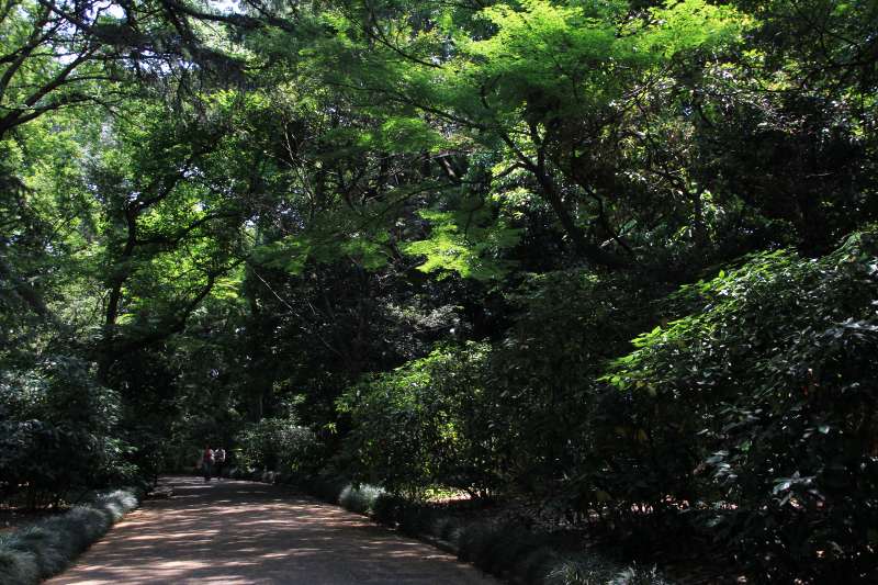 上京散策・新宿御苑_2-2.jpg