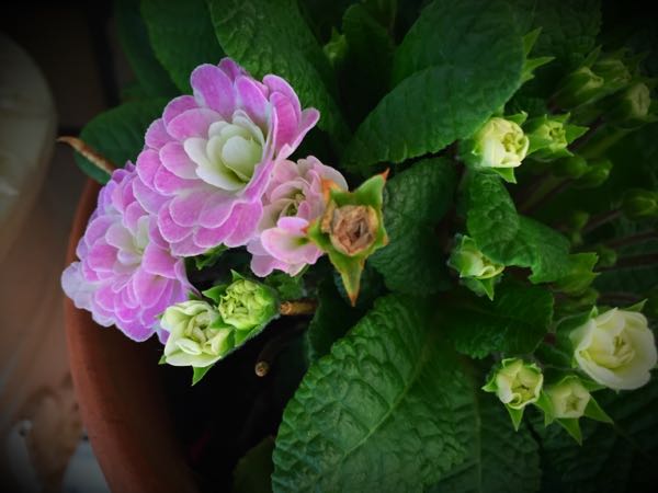 rblog-20160330191005-00.jpg