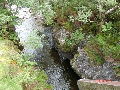 gurennko