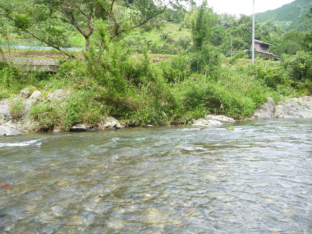 resize0010.jpg