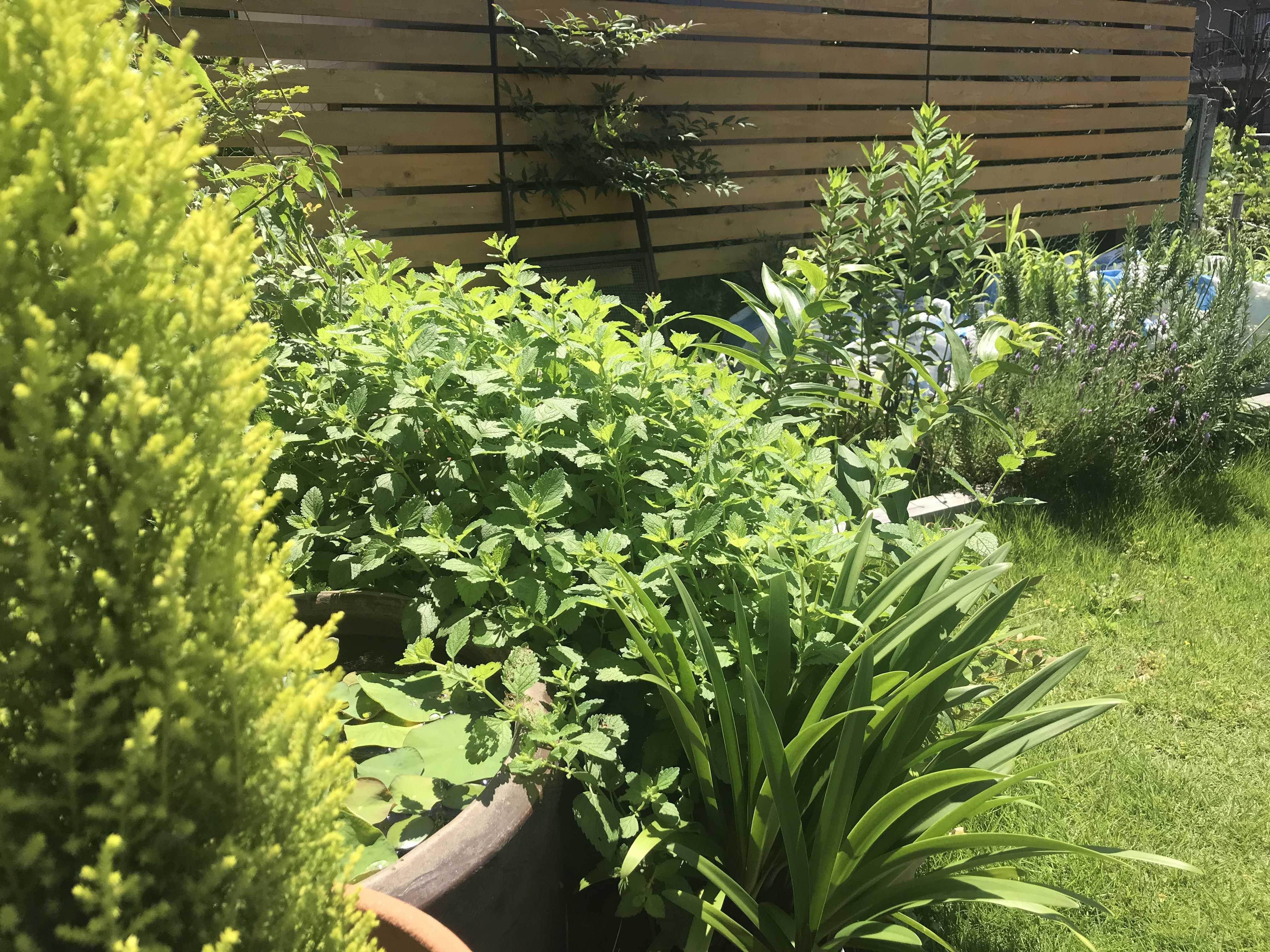 不動産投資で目指す！本当の自由な暮らしへの道