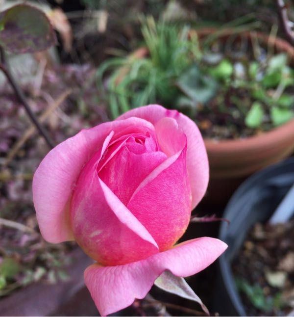 rblog-20180104174010-06.jpg