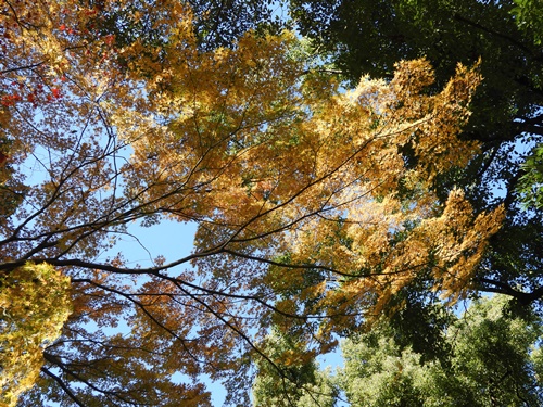 日比谷公園