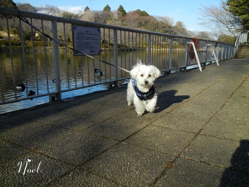 三ツ池公園にて