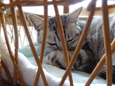 2012070502