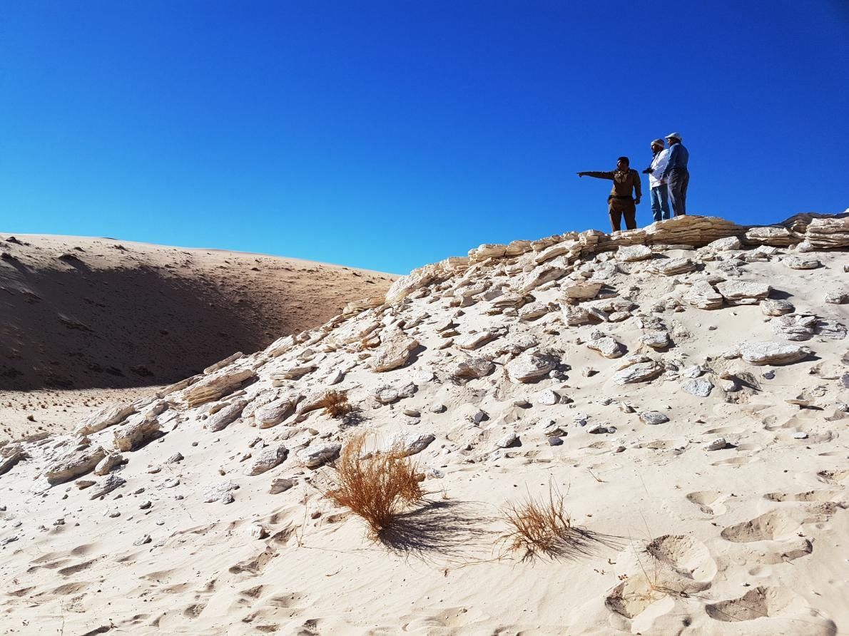 砂漠のアラビア半島で１１ ５万年前のホモ サピエンス の足跡を発見 南回りの拡散ルートか 政治 現代史 進化生物学 人類学 考古学 旅行 映画 メディアなどのブログ 楽天ブログ