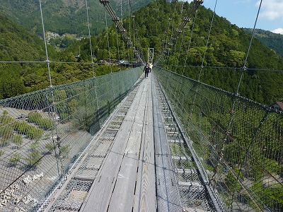 P1060446.jpg