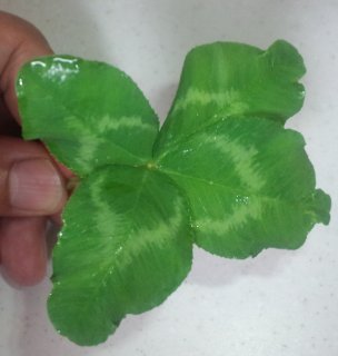 20120505-4