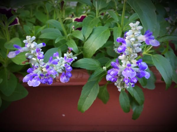 rblog-20160710211450-07.jpg