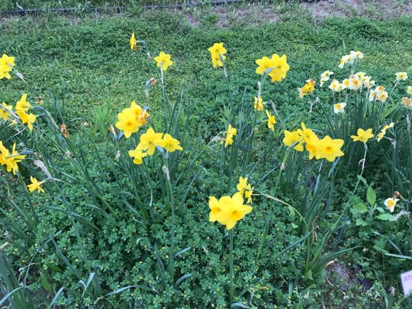 rblog-20170501132024-01.jpg