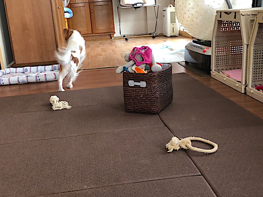 rblog-20181016090214-03.jpg