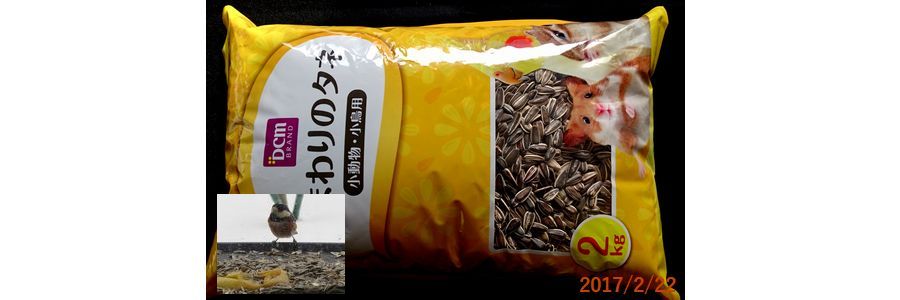 7/22ひまわりの種を追加購入.jpg