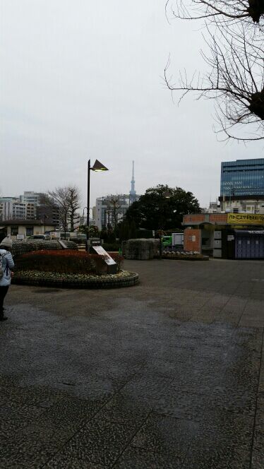 rblog-20160131110829-04.jpg