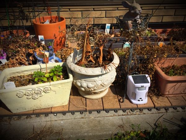 rblog-20160227143432-02.jpg