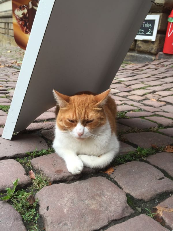 rblog-20150909224419-01.jpg