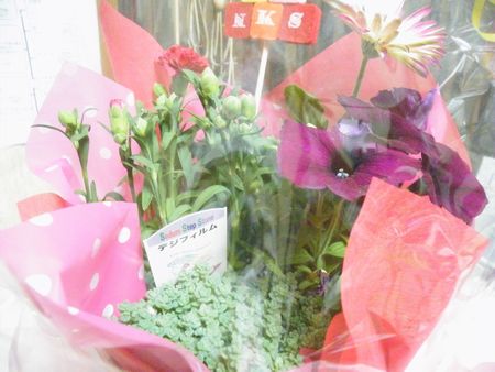 DSCF9364-p.jpg