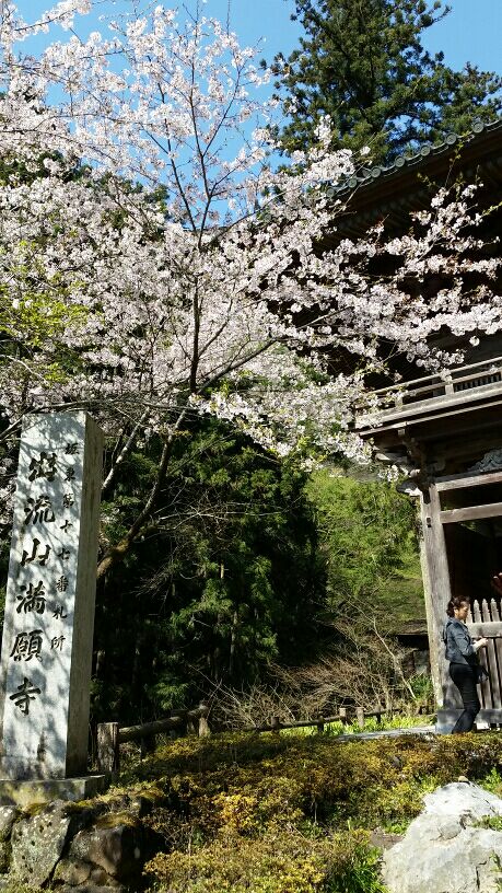 rblog-20160418002132-01.jpg