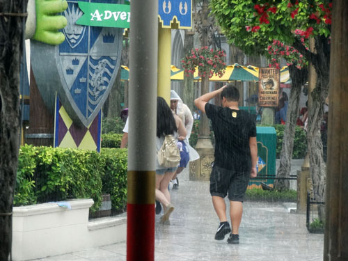 2016-1-1-29
