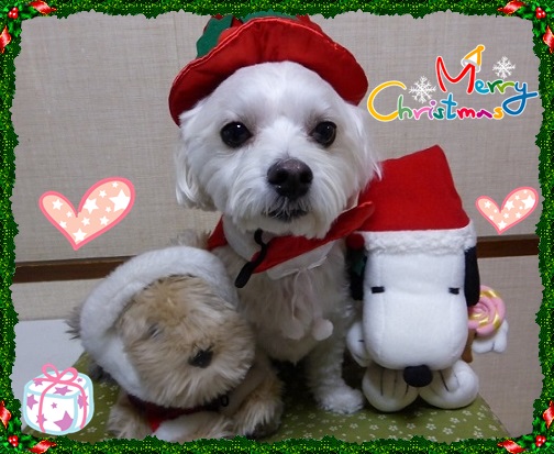 ひっきー０８さん