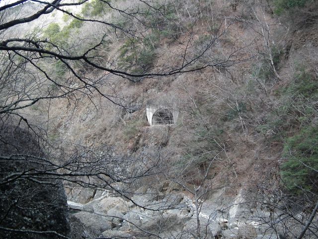 DSCF6396.JPG