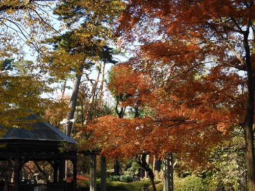 井の頭自然文化園