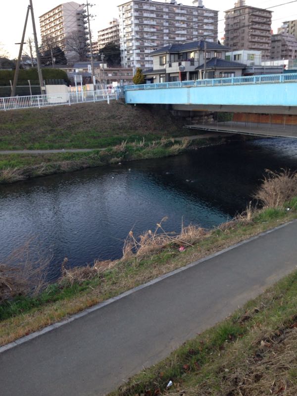 rblog-20150103164107-00.jpg