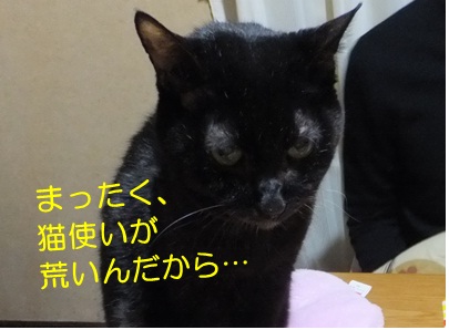 20121126_4.jpg