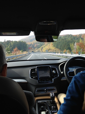 車内から紅葉を見ながら