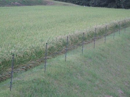 IMG_0877縮小 - コピー.jpg