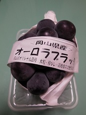 DSCN7261.JPG