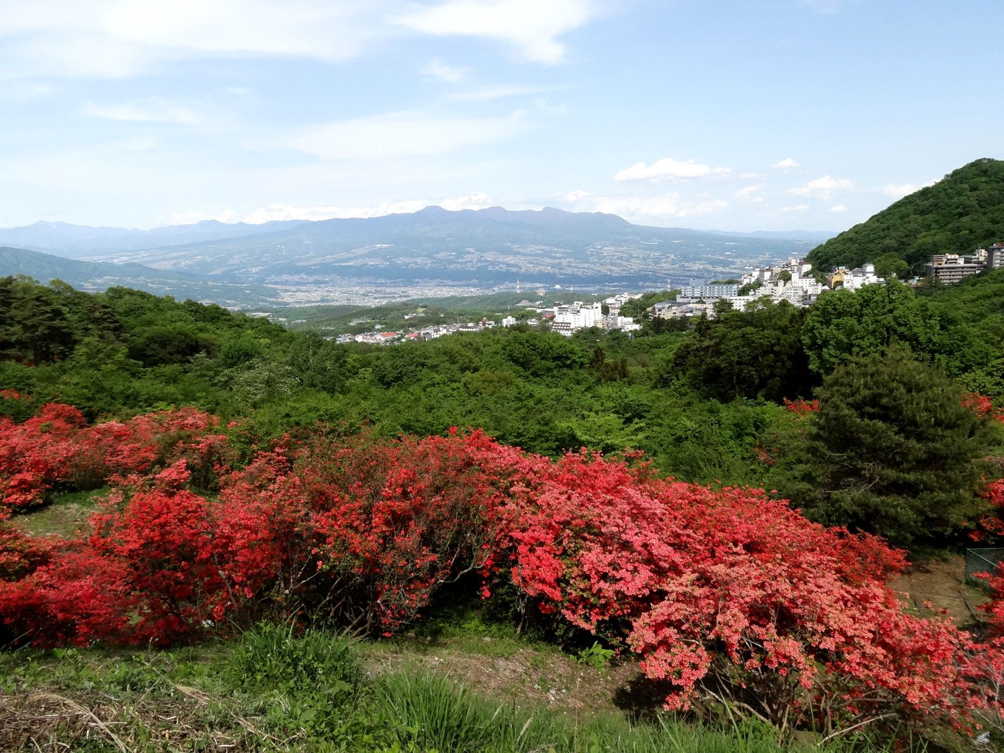ツツジ満開の伊香保森林公園！ 2020年5月17日（日） | 山と花と小型車でサイクリング！ - 楽天ブログ