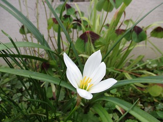 IMG_5489ss.jpg