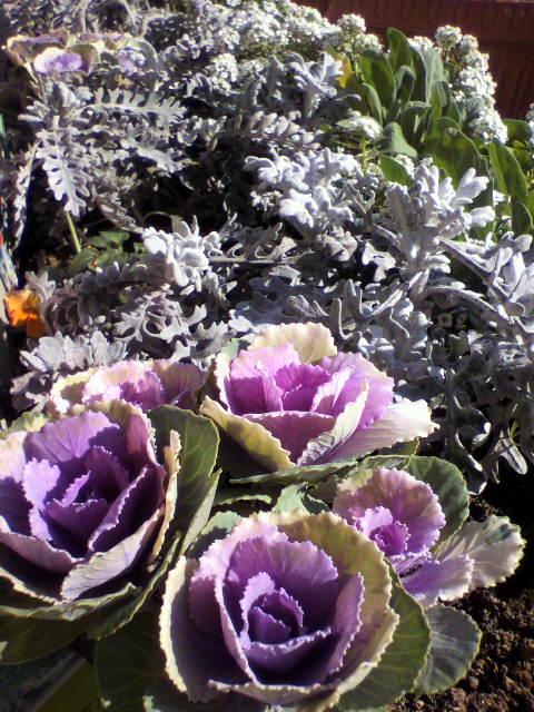 2012121913030001.jpg