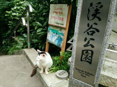 入口.jpg