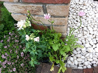 2015-04-19 10.12.27ss.jpg