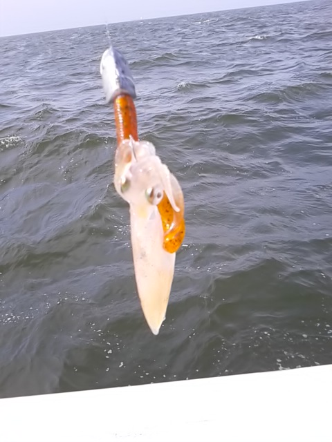 DSC_1511.JPG