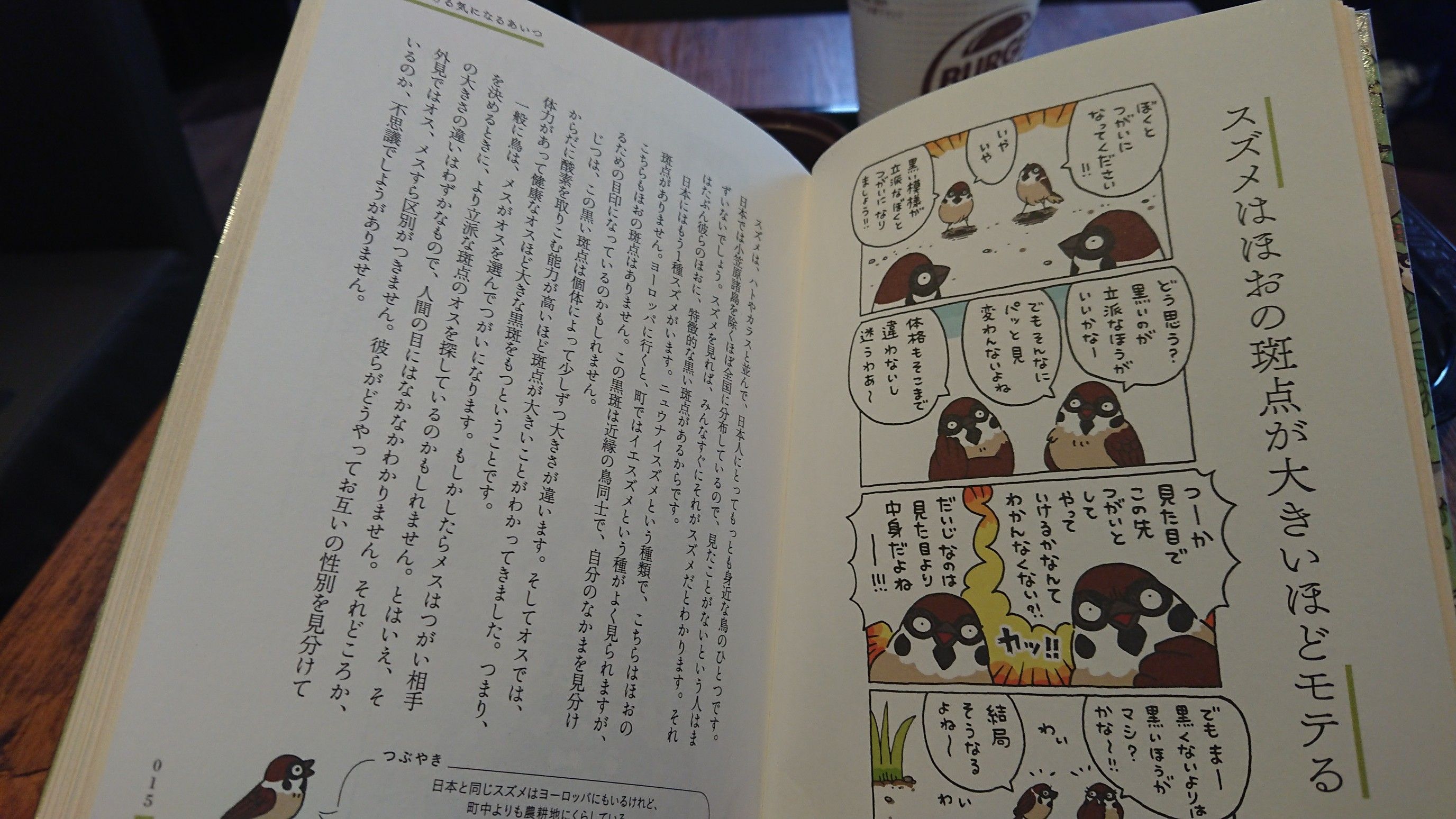 これを読めば 鳥の事がきっと好きになる 明日の自分をつくる徒然日記 楽天ブログ